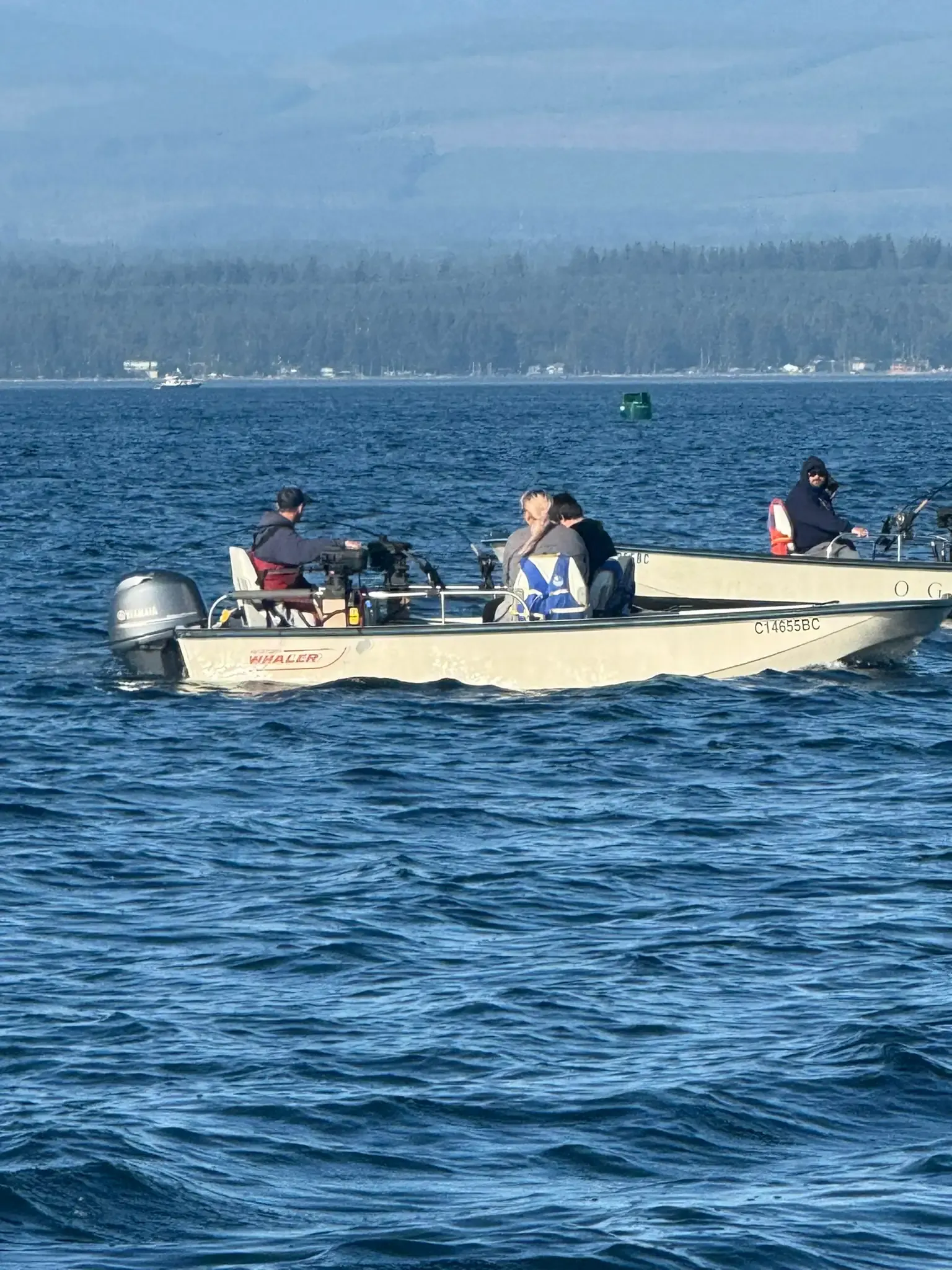 17' Boston Whaler Montauk