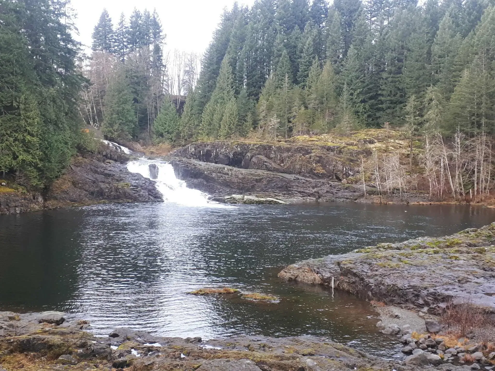 Elk Falls Rapids Forest Scenic