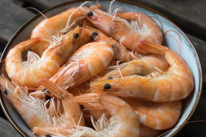 Spot Prawns