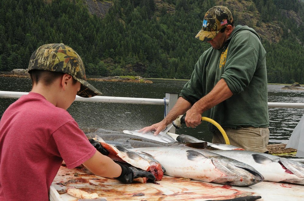 Salmon Filleting Station Campbell River BC