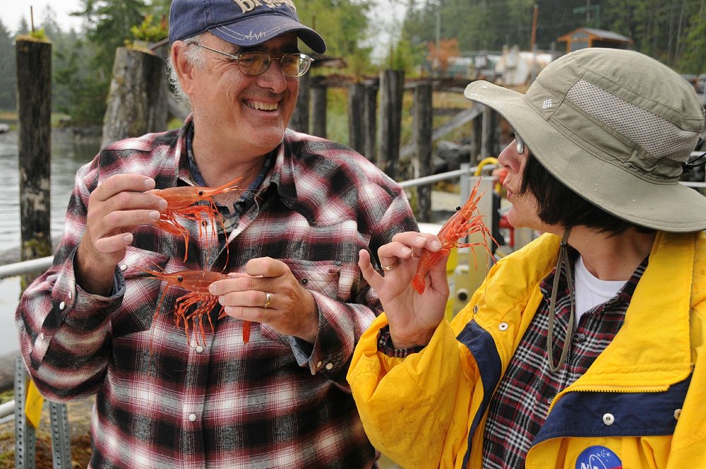 Spot Prawns Catch Vancouver Island Seafood
